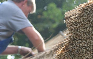 professional Shirecliffe thatchers